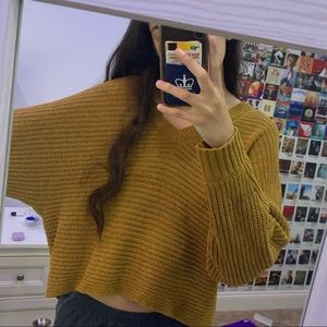 American Eagle Cropped Sweater